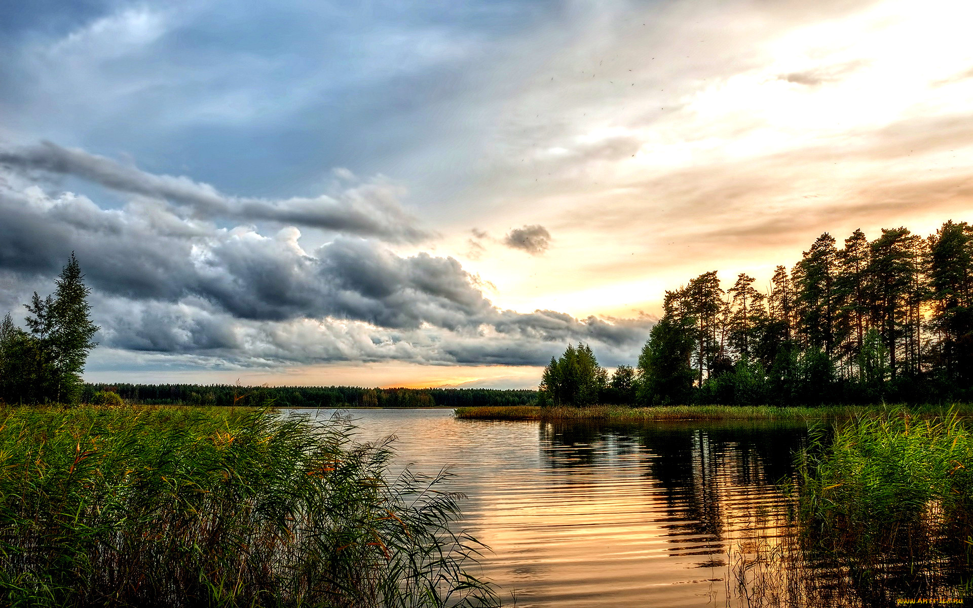 Озеро Инютино Нижегородская область фото
